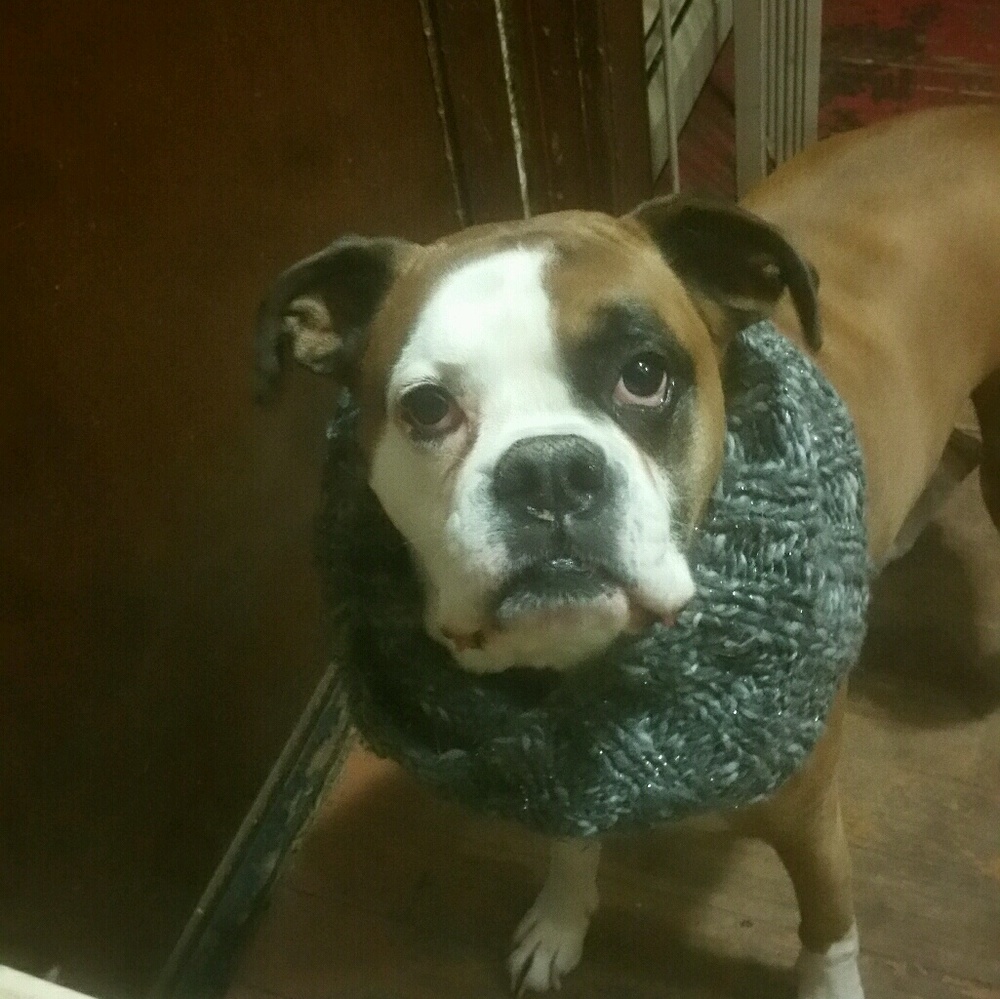 Meet your Posher, Marianne